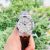Đồng Hồ Maurice Lacroix Aikon 42mm - AI6008-SS001-130-1