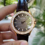 Đồng Hồ Agelocer Baikal 6303F2