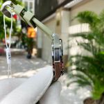 Đồng Hồ Carnival IW618G Green