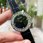 Đồng Hồ Agelocer Baikal 6602A1