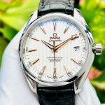 Đồng Hồ Omega Seamaster Aqua Terra 231.13.42.21.02.003 - Cũ