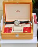 Đồng Hồ Omega Seamaster Aqua Terra Co-Axial Chronometer 231.13.42.22.02.001 (23113422202001)
