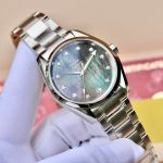 Đồng Hồ Omega Seamaster Aqua Terra Master Co-Axial Chronometer 231.10.39.21.57.001
