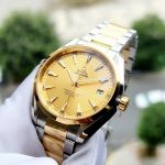 Đồng Hồ Aqua Terra Master Co-Axial Chronometer 231.20.42.21.08.001
