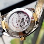 Đồng Hồ Aqua Terra Master Co-Axial Chronometer 231.20.42.21.08.001
