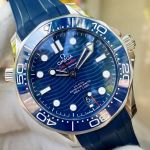 Đồng Hồ Omega Seamaster Diver 300M Co-Axial Master 210.30.42.20.03.001 - Cũ