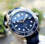 Đồng Hồ Omega Seamaster Professional Diver 210.32.42.20.03.001