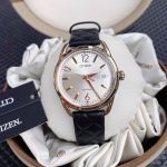 Đồng hồ nữ Citizen Eco_Drive FE6083-13P