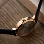Đồng Hồ Nữ Citizen Eco-Drive EM0763-07A Chính Hãng