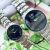 Đồng hồ nữ Citizen Eco-Drive Ultra Slim EG3210-51E Chính Hãng