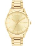Đồng Hồ Nữ Calvin Klein 25200043