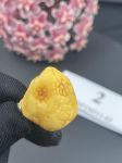 Giọt Hổ Phách Nga Amber drops MHP230311-02