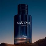 Nước Hoa Nam Christian Dior Sauvage EDP Đậm Chất Hiện Đại, 100ml
